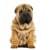 Купить одежду для собак породы Шарпей в Москве, производитель ForMyDogs, по низкой цене и с доставкой по России